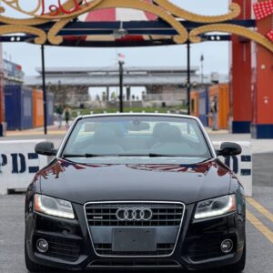 2010 AUDI A 5 S-LINE