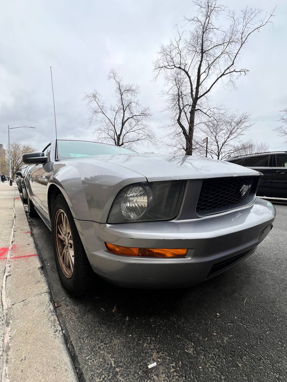2008 FORD MUSTANG DELUXE - Image 5
