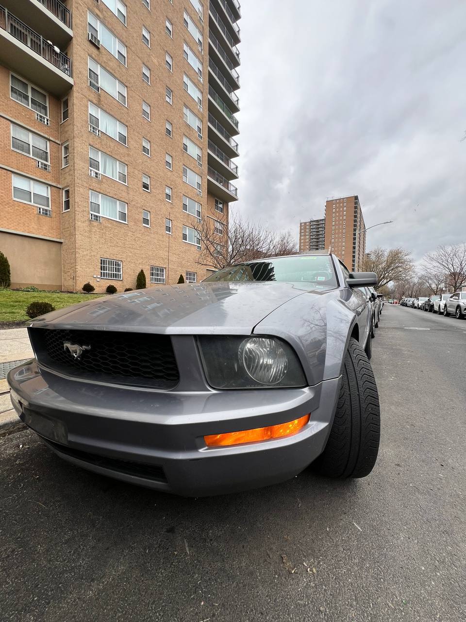 2008 FORD MUSTANG DELUXE